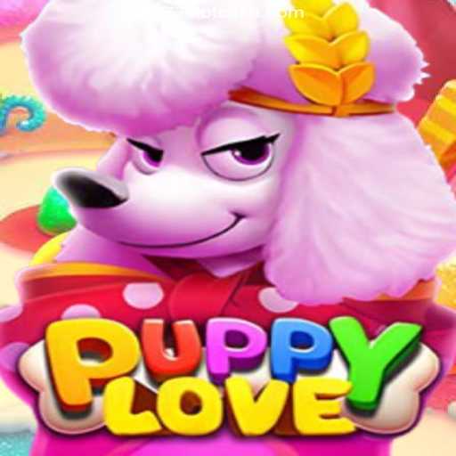 Fortune Tiger Games
